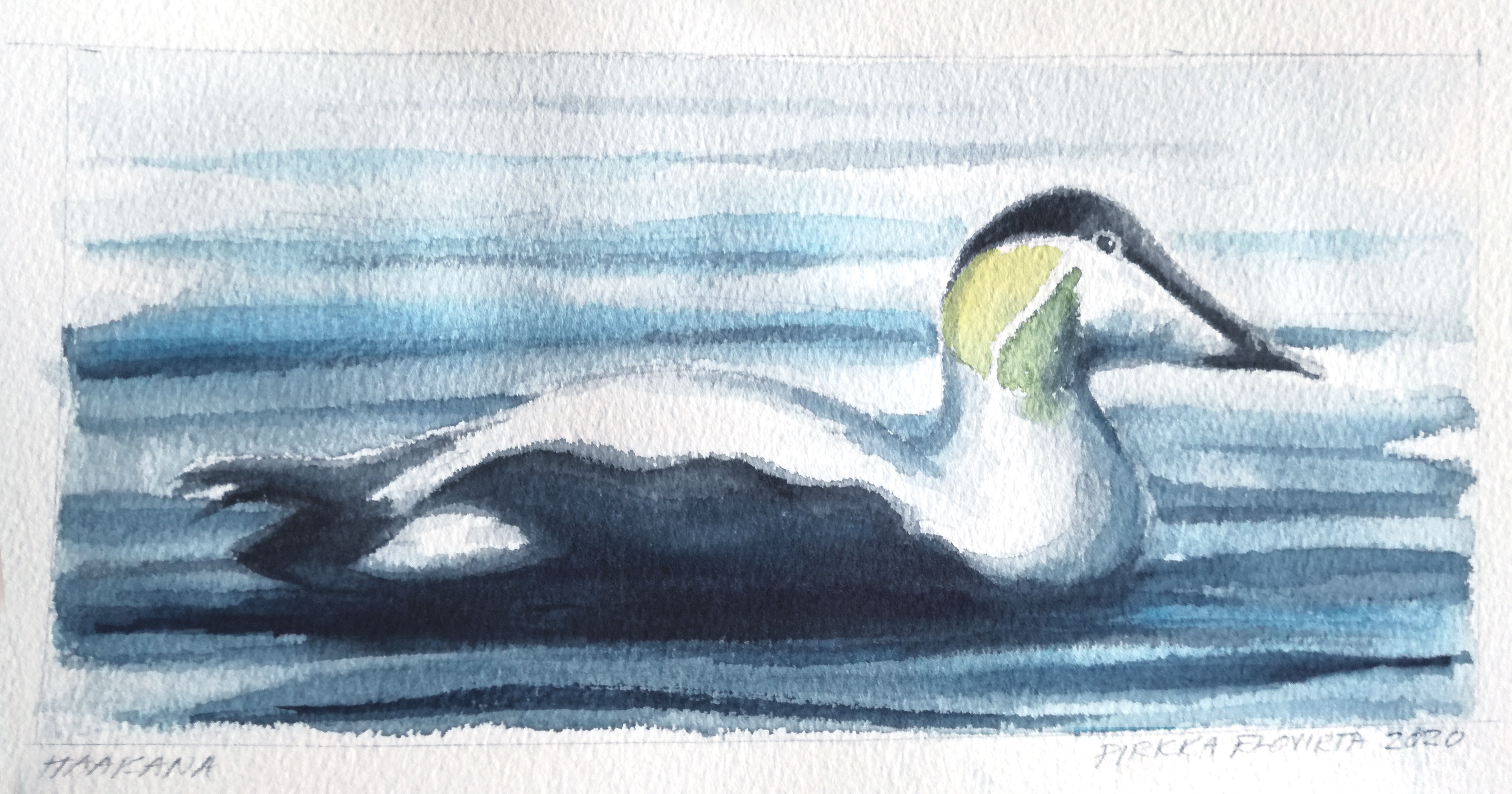 vesiv&auml;rity&ouml;