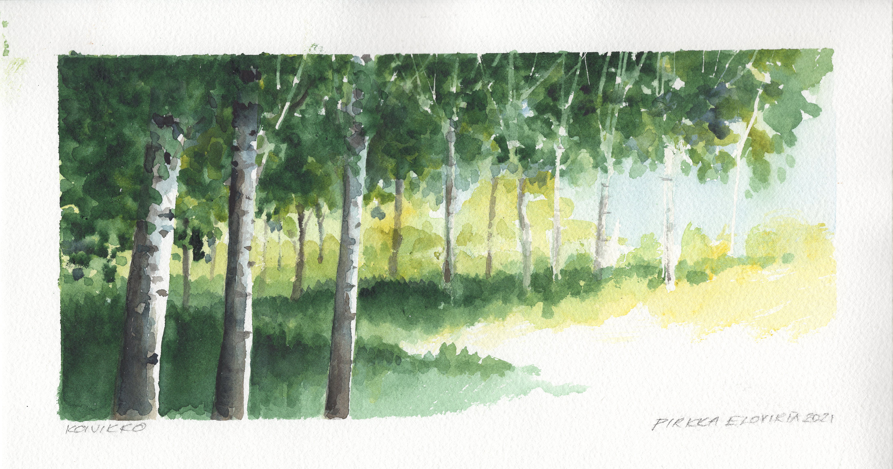 vesiv&auml;rity&ouml;